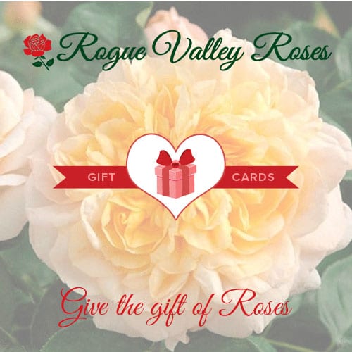 Rogue Valley Roses gift card